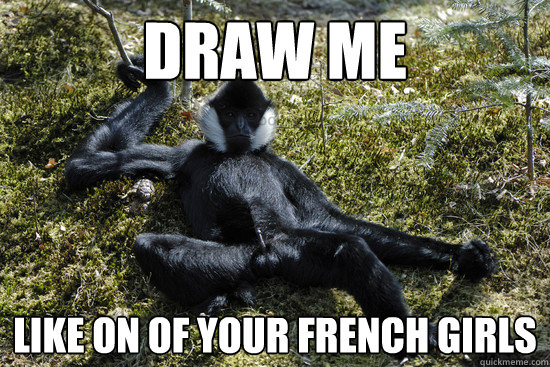 draw me like on of your french girls  White cheek crested gibbon