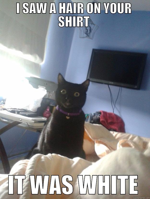 Overly Attached Cat - I SAW A HAIR ON YOUR SHIRT IT WAS WHITE overly attached cat