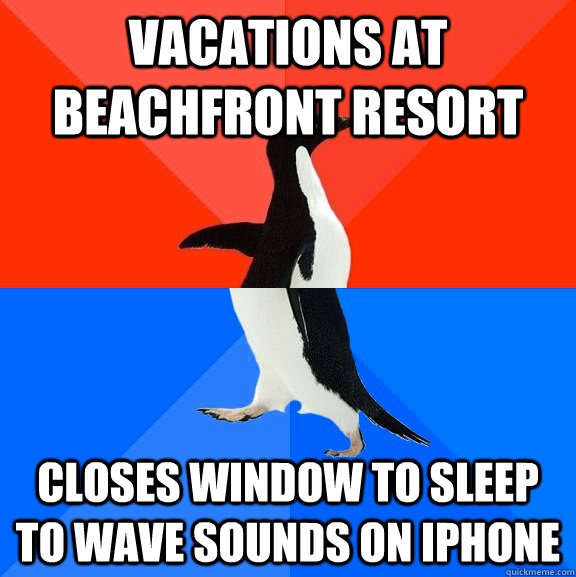 vacations at beachfront resort closes window to sleep to wave sounds on iPhone  Socially Awesome Awkward Penguin