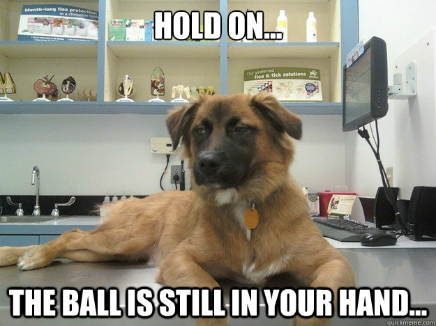 Hold on... The ball is still in your hand...  Suspicious Dog