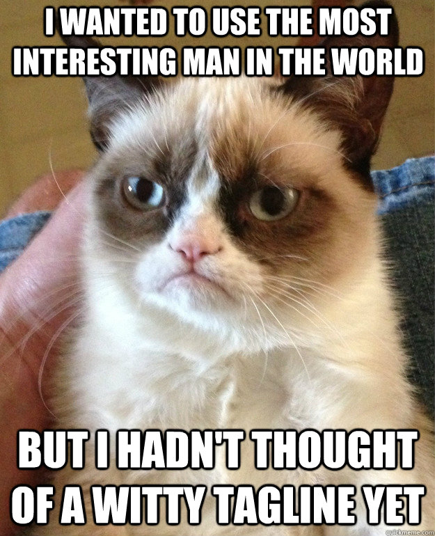 i wanted to use the most interesting man in the world but i hadn't thought of a witty tagline yet  Grumpy Cat