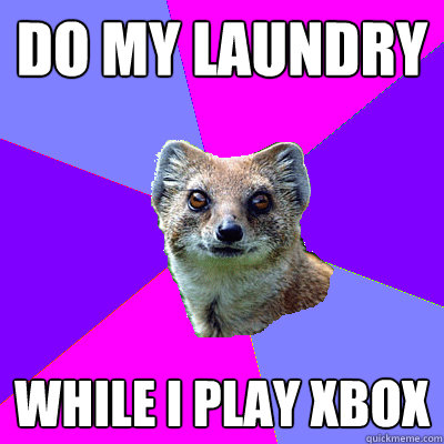 Do my laundry While I play xbox  Stupid Boyfriend Mongoose