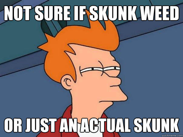 not sure if skunk weed Or just an actual skunk  Futurama Fry