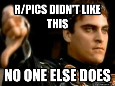 r/pics didn't like this No one else does  Downvoting Roman
