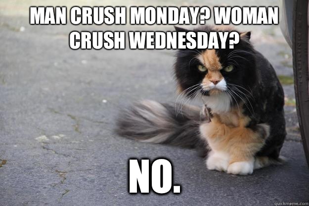 Man crush Monday? Woman crush Wednesday? NO.  Angry Cat
