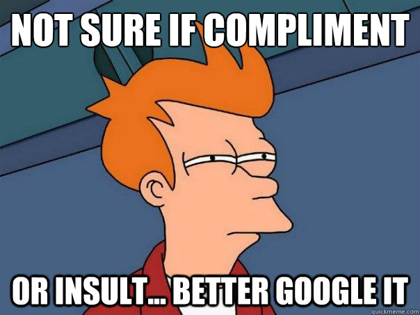 Not sure if compliment Or Insult... Better Google It  Futurama Fry