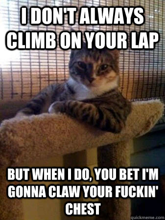 I don't always climb on your lap but when I do, you bet I'm gonna claw your fuckin' chest  The Most Interesting Cat in the World