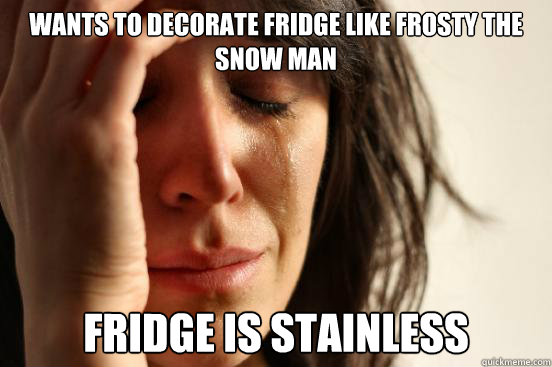 wants to decorate fridge like Frosty The Snow Man Fridge is stainless  First World Problems