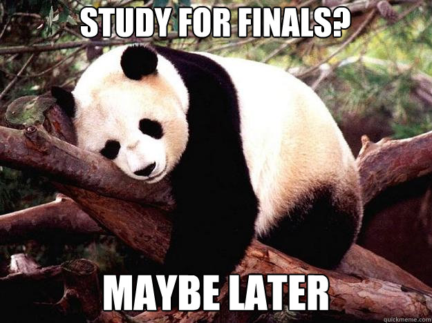 Study for finals? Maybe later  Procrastination Panda