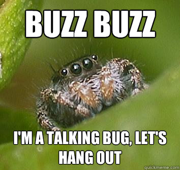 buzz buzz i'm a talking bug, let's hang out - buzz buzz i'm a talking bug, let's hang out  Misunderstood Spider