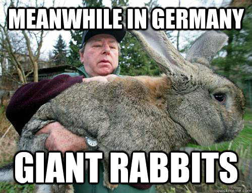 Meanwhile in Germany Giant Rabbits - Meanwhile in Germany Giant Rabbits  Giant Rabbits