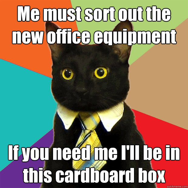 Me must sort out the new office equipment If you need me I'll be in this cardboard box  Business Cat