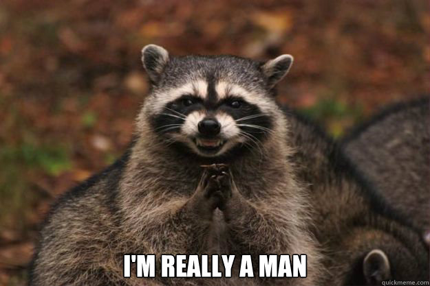  I'm really a man  Evil genius racoon