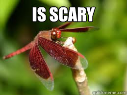 Is scary   