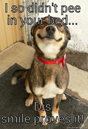 I SO DIDN'T PEE IN YOUR BED... DIS SMILE PROVES IT! Good Dog Greg