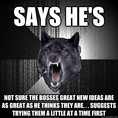 says he's not sure the bosses great new ideas are as great as he thinks they are. . . suggests trying them a little at a time first  Insanity Wolf