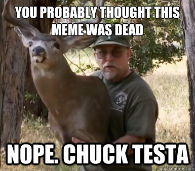 You probably thought this meme was dead nope. chuck testa  Chuck Testa