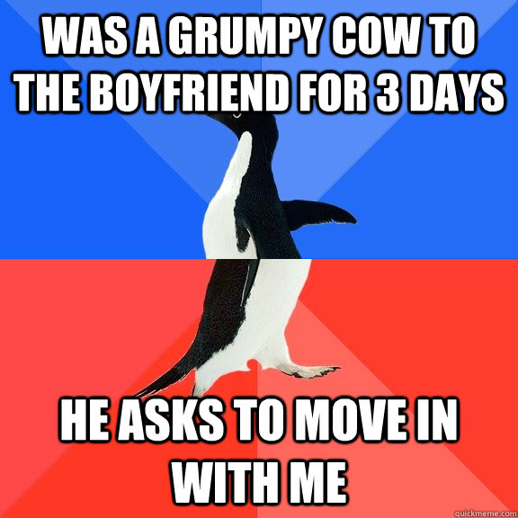 WAS A GRUMPY COW TO THE BOYFRIEND FOR 3 DAYS HE ASKS TO MOVE IN WITH ME  Socially Awkward Awesome Penguin