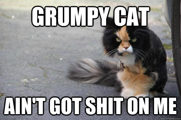 Grumpy cat Ain't got shit on me  Angry Cat