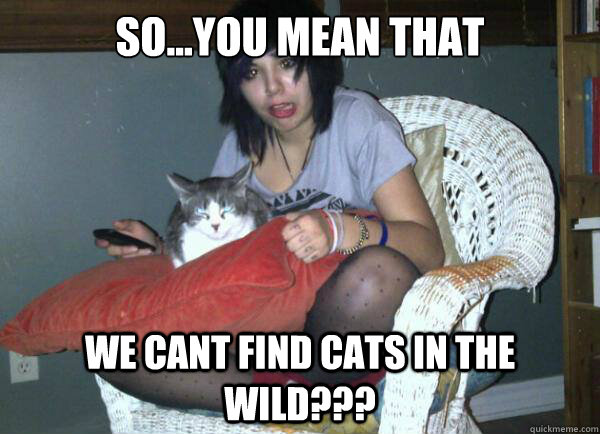 so...you mean that we CANT FIND CATS IN THE WILD???  