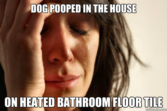 Dog pooped in the house On heated bathroom floor tile  First World Problems