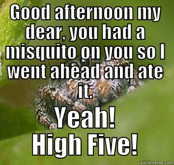 I've got your back - GOOD AFTERNOON MY DEAR, YOU HAD A MISQUITO ON YOU SO I WENT AHEAD AND ATE IT. YEAH! HIGH FIVE! Misunderstood Spider