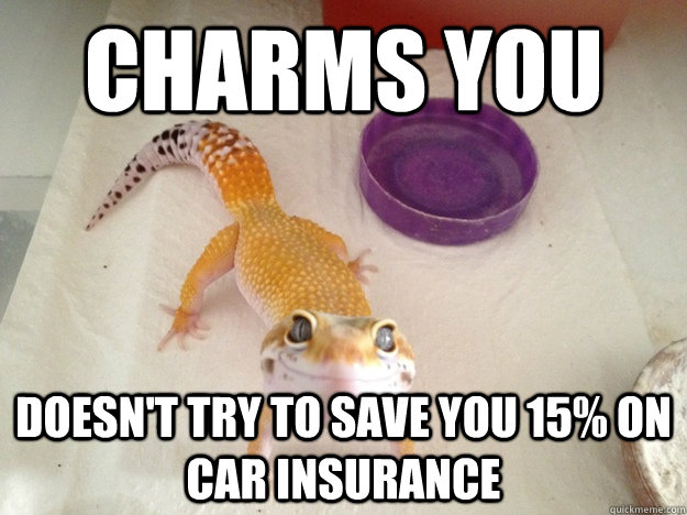 Charms YOu Doesn't Try to save you 15% on car insurance  