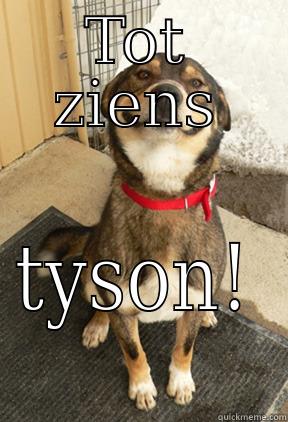 TOT ZIENS TYSON! Good Dog Greg