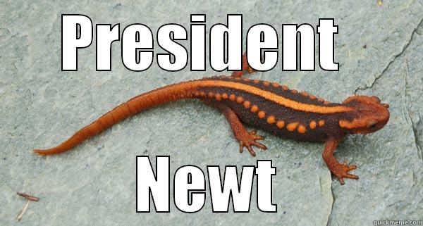 PRESIDENT  NEWT Misc
