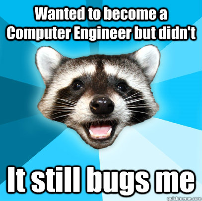 Wanted to become a Computer Engineer but didn't It still bugs me  Lame Pun Coon