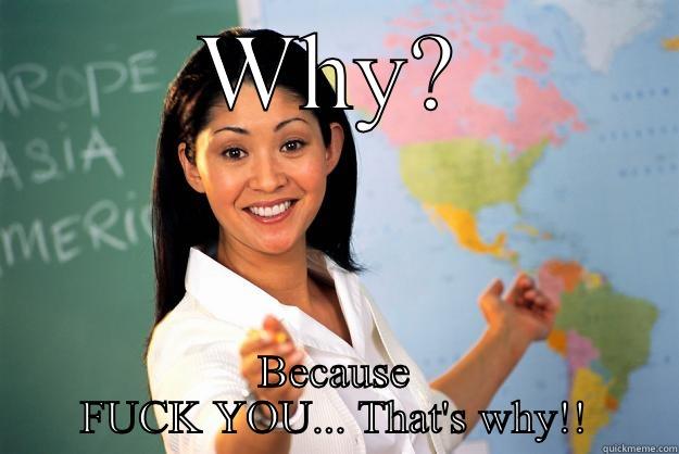 WHY? BECAUSE FUCK YOU... THAT'S WHY!! Unhelpful High School Teacher