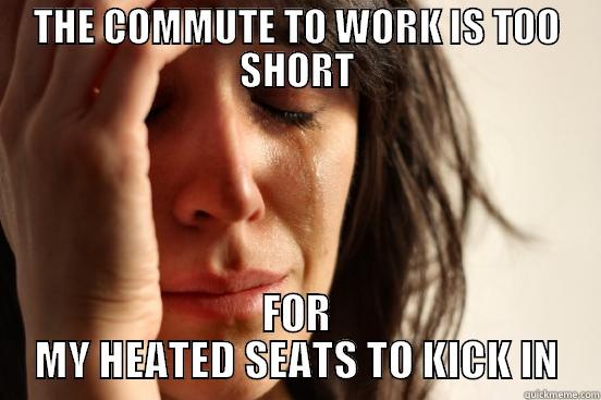 THE COMMUTE TO WORK IS TOO SHORT FOR MY HEATED SEATS TO KICK IN First World Problems