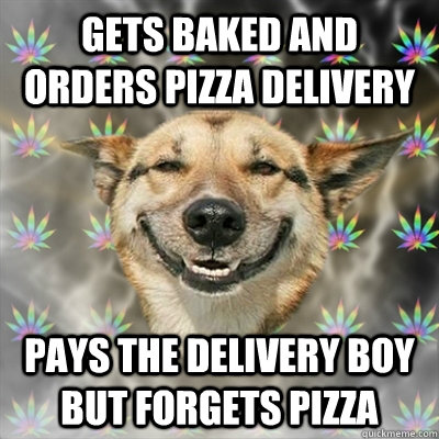 Gets baked and orders pizza delivery pays the delivery boy but forgets pizza  Stoner Dog