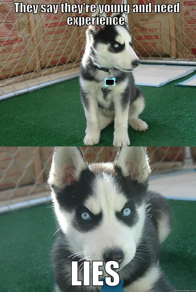 THEY SAY THEY'RE YOUNG AND NEED EXPERIENCE. LIES Insanity puppy