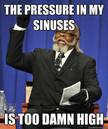 the pressure in my sinuses is too damn high  The Rent Is Too Damn High