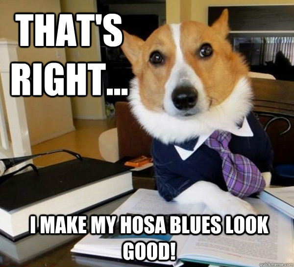 That's right... I make my HOSA blues look good! - That's right... I make my HOSA blues look good!  Lawyer Dog