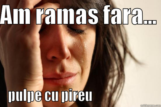 AM RAMAS FARA...  PULPE CU PIREU                         First World Problems