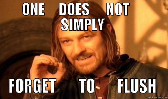 ONE     DOES      NOT      SIMPLY FORGET        TO        FLUSH Boromir