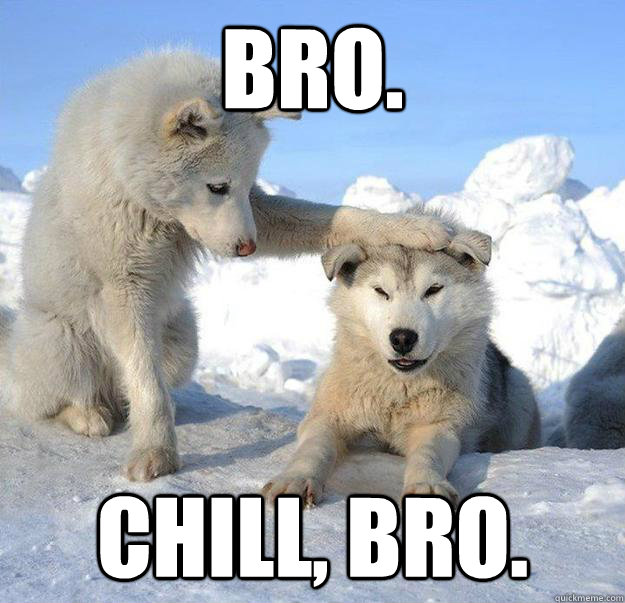 Bro.
 Chill, bro. - Bro.
 Chill, bro.  Caring Husky