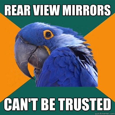 rear view mirrors can't be trusted  Paranoid Parrot