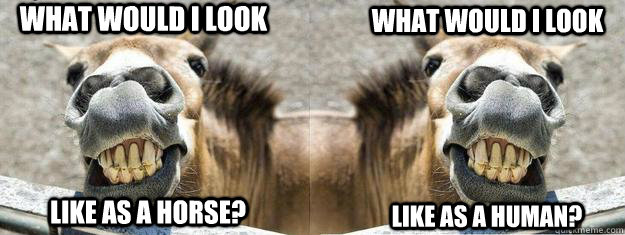 What would I look  What would I look  Like as a horse? like as a human? - What would I look  What would I look  Like as a horse? like as a human?  Sarah Jessica Parker