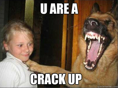 U are a  crack up  scary dog