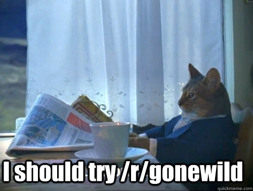  I should try /r/gonewild  Rich cat is rich