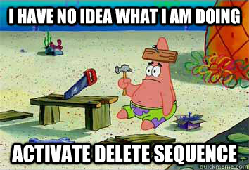 I have no idea what i am doing Activate Delete Sequence  I have no idea what Im doing - Patrick Star