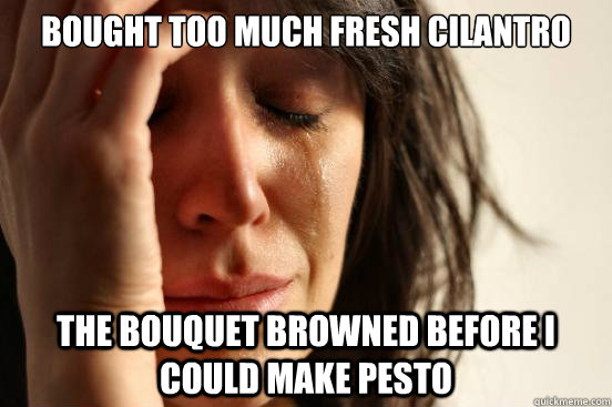 Bought too much fresh Cilantro The bouquet browned before I could make pesto  First World Problems