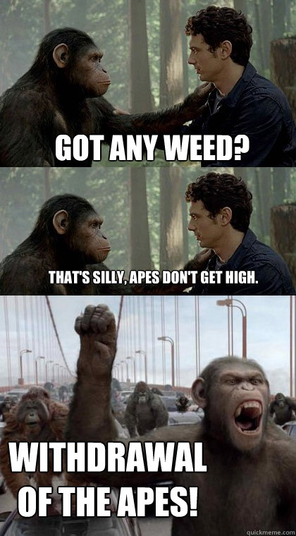 Got any weed? That's silly, apes don't get high. Withdrawal of THE APES! - Got any weed? That's silly, apes don't get high. Withdrawal of THE APES!  Caesar Is Mad