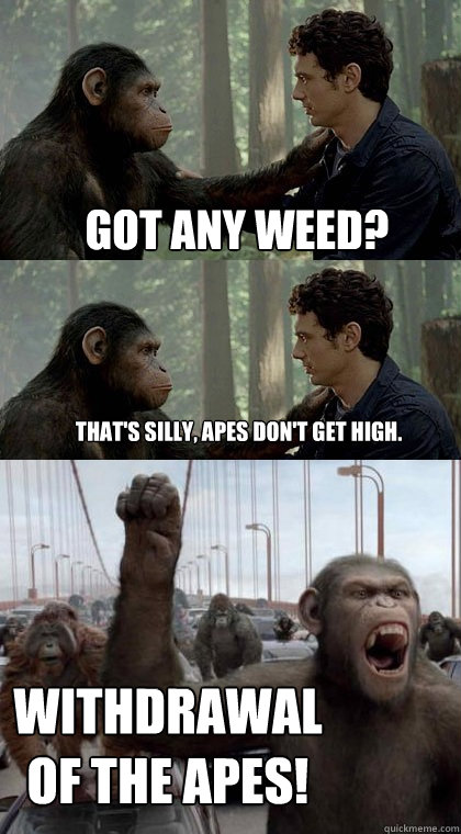 Got any weed? That's silly, apes don't get high. Withdrawal of THE APES!  