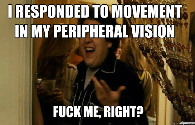 i responded to movement in my peripheral vision FUCK ME, RIGHT?  fuck me right