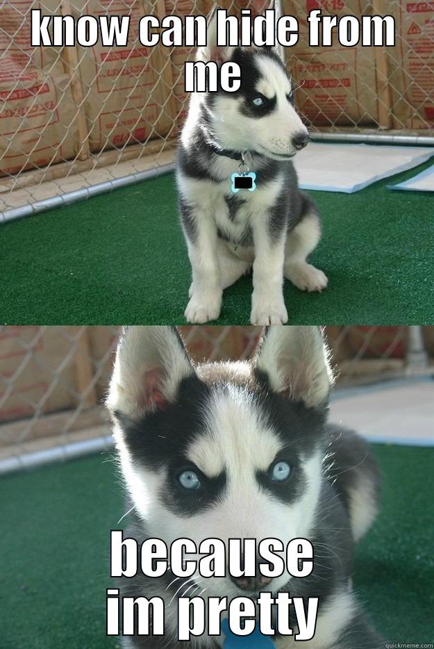KNOW CAN HIDE FROM ME BECAUSE IM PRETTY Insanity puppy