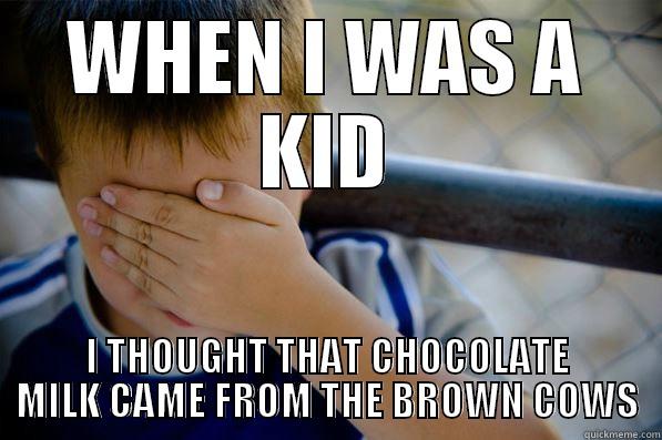WHEN I WAS A KID I THOUGHT THAT CHOCOLATE MILK CAME FROM THE BROWN COWS Confession kid